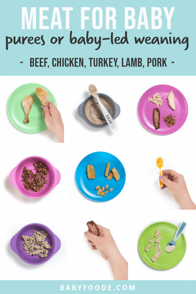 Graphic for post- meat for baby - purees or baby-led weaning - beef, chicken, turkey, lamb, pork. Images are in a grid of colorful kid plates with meat on them.