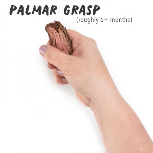 How to Serve Meat to Baby (6+ Months) Baby Foode