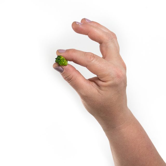 Guide to Baby's Pincer Grasp (PLUS 8 Activities) Baby Foode