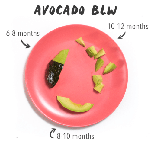 How to Serve Avocado to Baby Baby Foode
