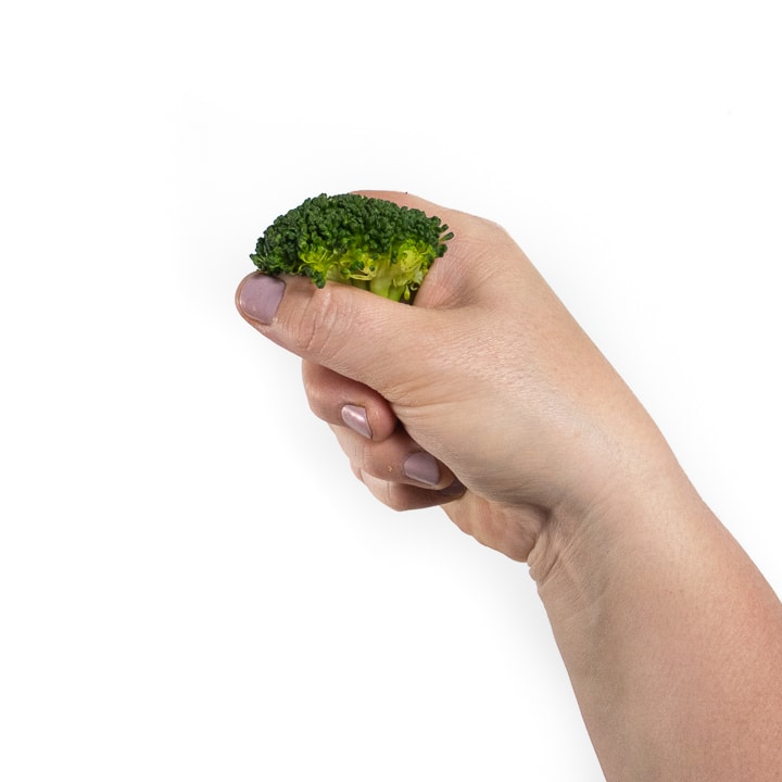hand holding a piece of broccoli