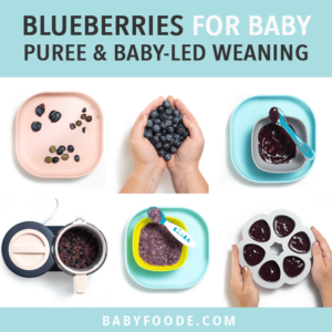 Graphic for post - blueberries for baby - puree and baby led weaning. Images are in a grid of whole blueberries, pureed blueberries and frozen blueberry puree that are all on blue or pink plates.