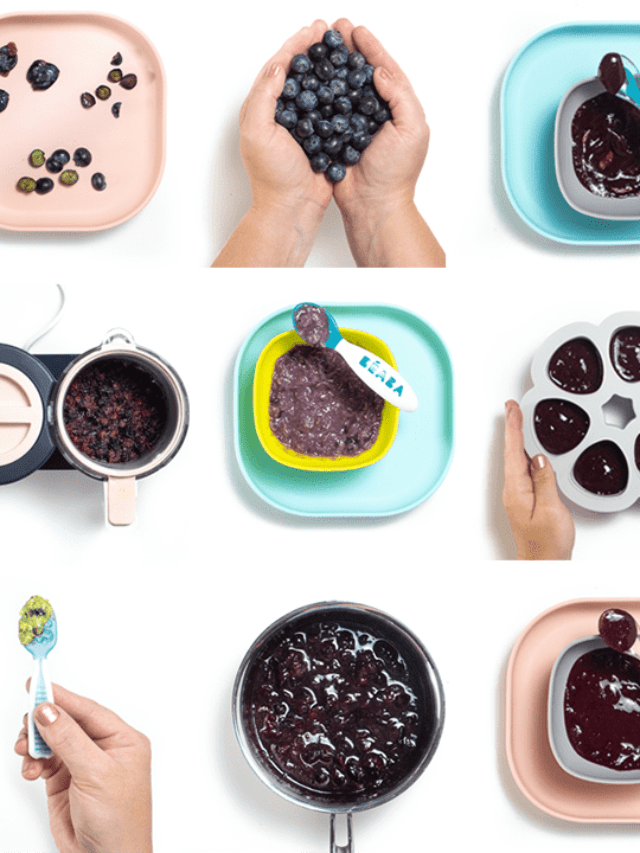 How to Make Blueberries for Baby Baby Foode