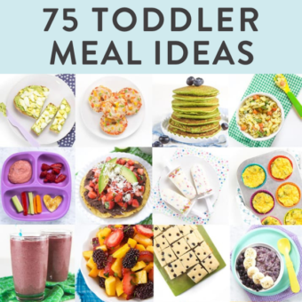 Graphic for post - 75 toddler meal ideas. Images in a grid of colorful and healthy meals for toddlers.