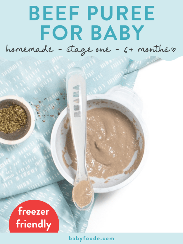 Basic Beef Baby Food Puree (6+ Months) Baby Foode