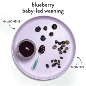 Purple baby plate showing different baby foods with blueberries with graphics showing which age they can be served to a baby.
