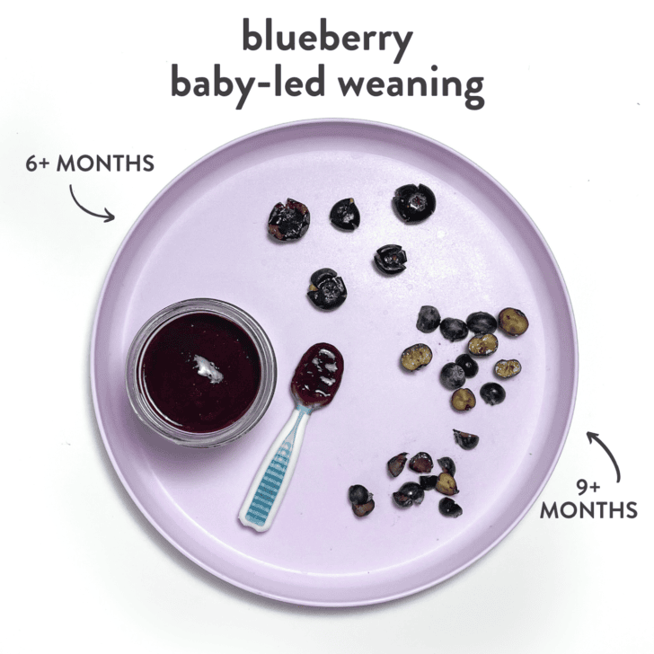 Purple baby plate showing different baby foods with blueberries with graphics showing which age they can be served to a baby.