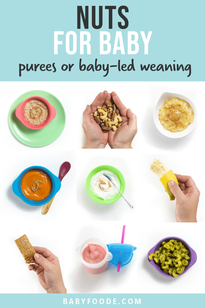 Graphic for post - nuts for baby - purees or baby-led weaning. Images are in a grid showing how to serve homemade foods with nuts in them safely to baby.