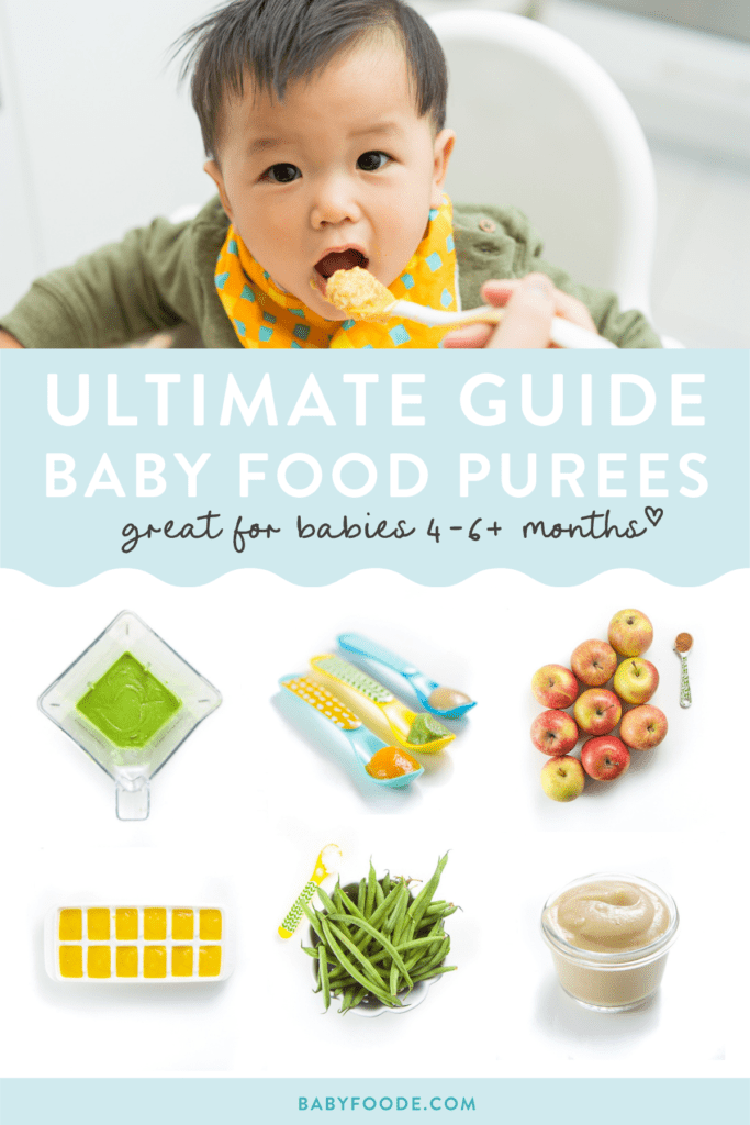 Ultimate Guide on Baby Food Purees (46+ months) Baby Foode