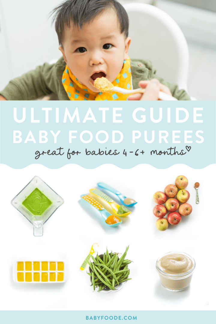 Ultimate Guide on Baby Food Purees (4-6+ months)