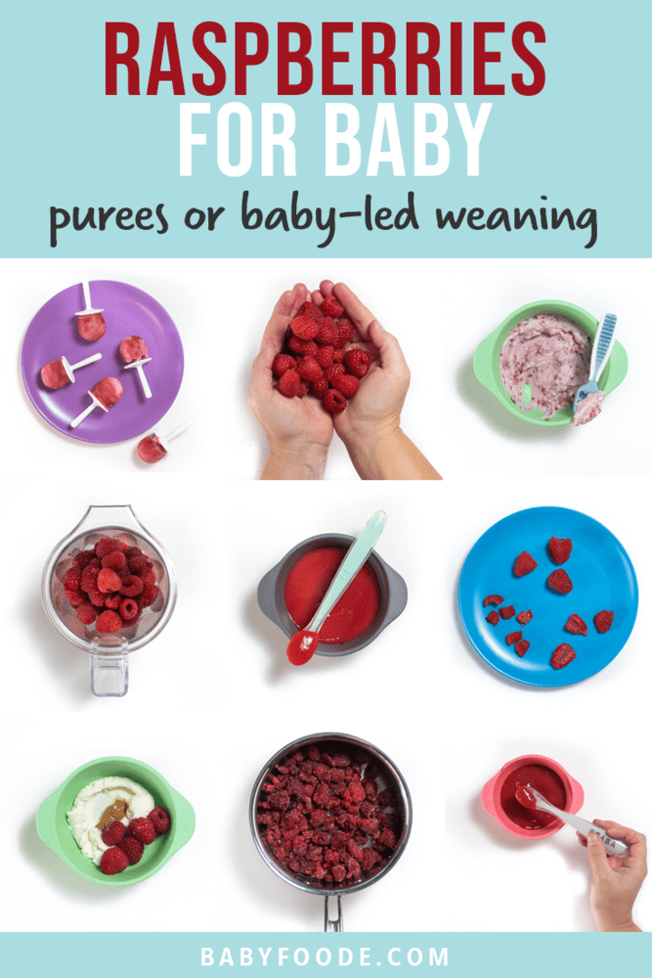 Graphic for post - raspberries for baby - purees or baby led weaning. 9 images in a grid of colorful baby plates and bowls filled with ways baby can eat raspberries. 