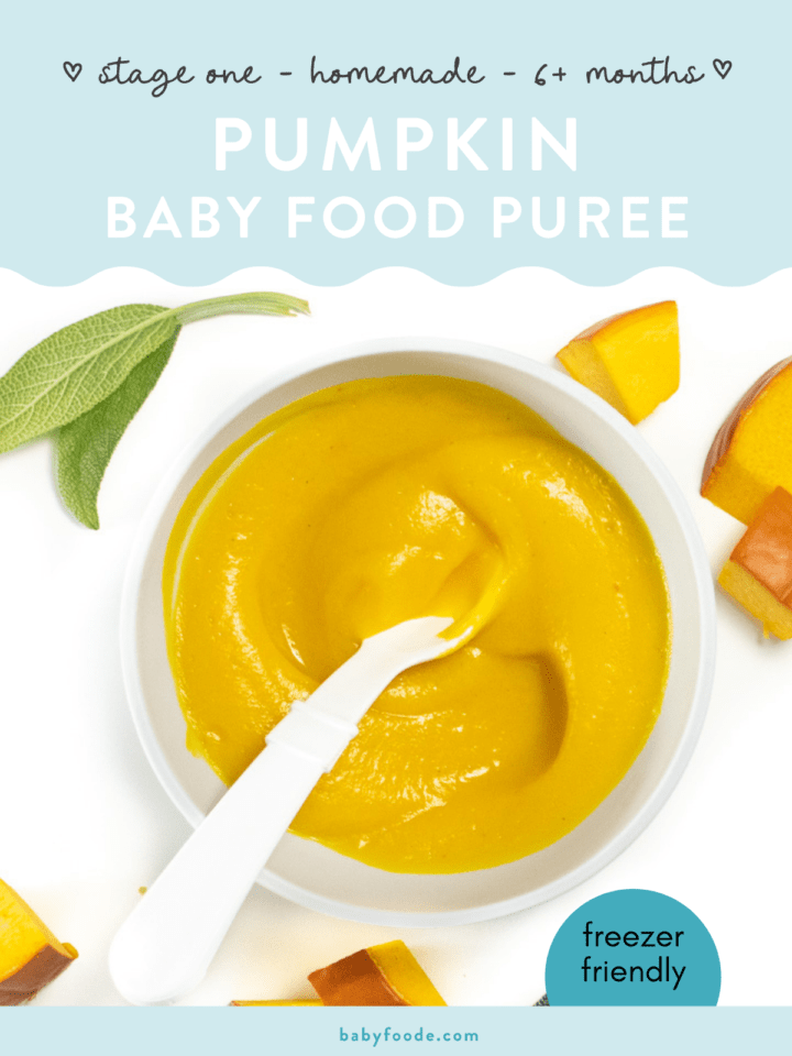 Pumpkin Baby Puree (4+ months stage 1) Baby Foode