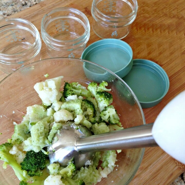 bowl of veggies in a bowl with the hand blender making it a puree for baby