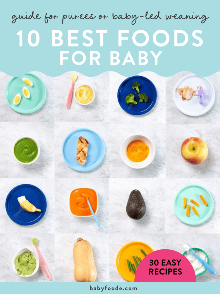 Graphic of Post - guide for purees or baby-led weaning - 10 best foods for baby. Images are in a grid of colorful plates filled with healthy foods for baby. 