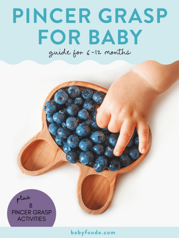 Guide to Baby's Pincer Grasp (PLUS 8 Activities) Baby Foode