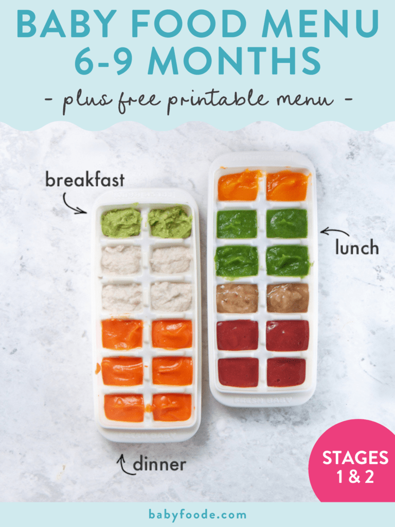 Graphic for post – baby food menu 6 to 9 month, plus free printable menu. Images of two white ice cube trays full of different color purées with tags saying breakfast, lunch, dinner.