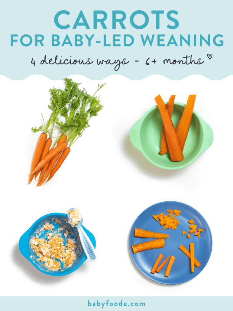 graphic for post - Carrots for Baby Led Weaning, 4 delicious ways, 6+ months.  a grid of 4 images, one of a bunch of carrots, a blue baby plate with different ways to serve carrots to baby, a purple baby plate with spiralized carrots, a green baby bowl with sticks of carrots. 