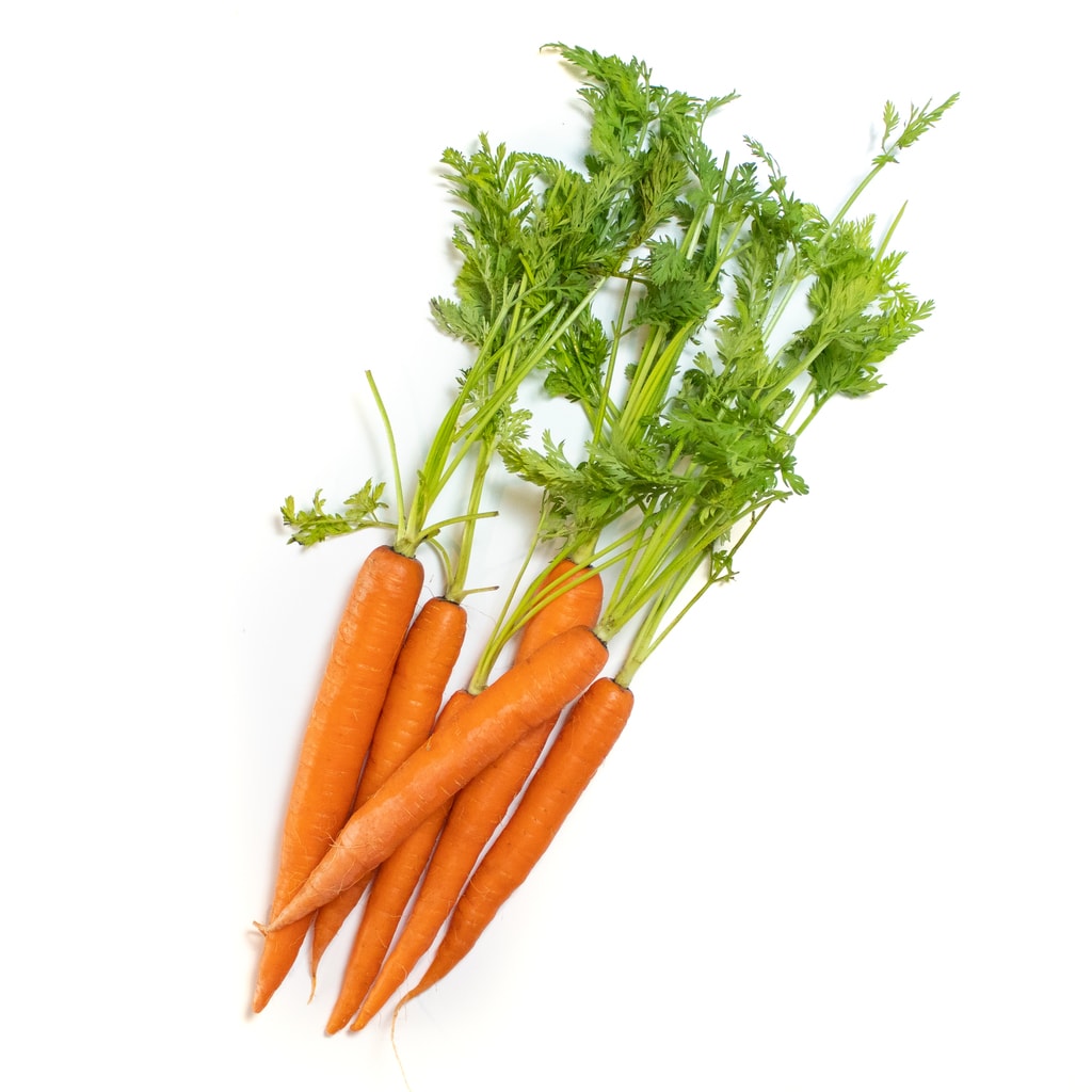 A bunch of carrots with green stems on a white background.