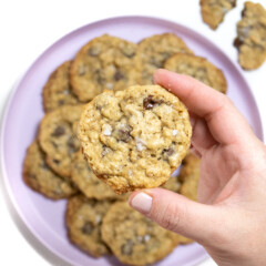 A purple plate full of lactation cookies and a hand holding one close to the camera.