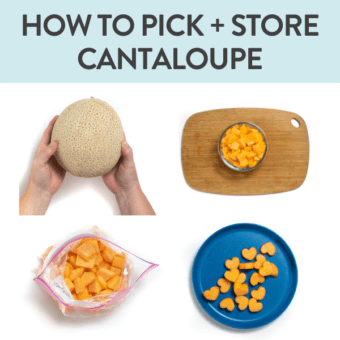 GRAPHIC FOR POST – HOW TO PICK, STORE AND FREEZE CANTALOUPE. THERE ARE FOUR IMAGES IN A GRID OF CANTALOUPE BEING CUT STORED AND FROZEN AGAINST A WHITE BACKGROUND.