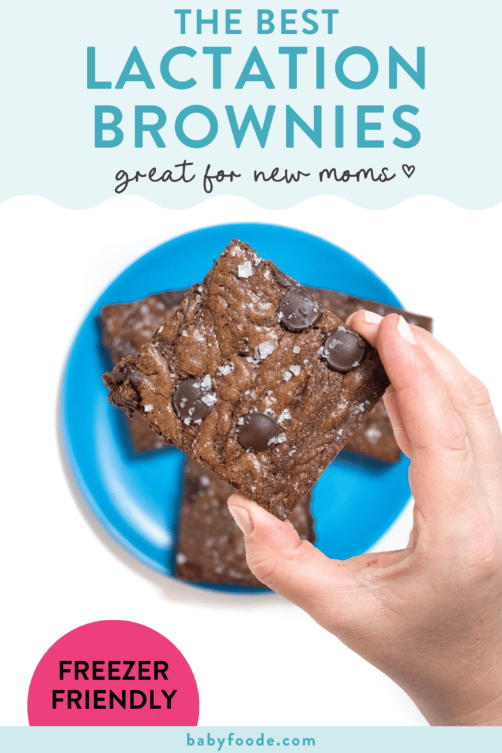 Graphic for post - the best lactation brownies - great for new moms. A hand holding up a brownie over a blue plate of brownies. 