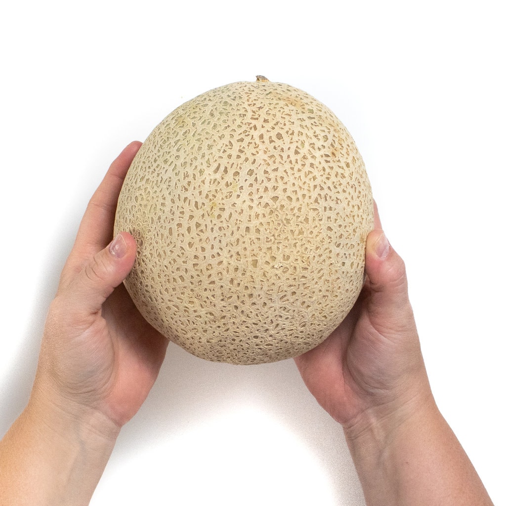 Pair of hands holding a cantaloupe against a white background.