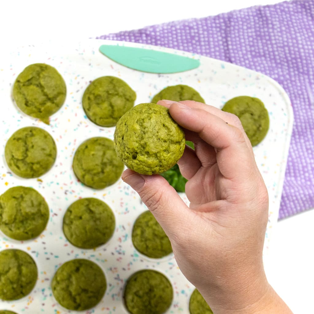 Hand holding up a Spanish muffin against a backdrop of a colorful muffin tin with student spinach muffins