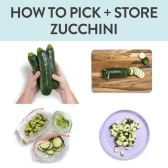 Graphic for post - how to pick and store zucchini. Images are in a grid against a white background showing how to cut, freeze and cut zucchini.