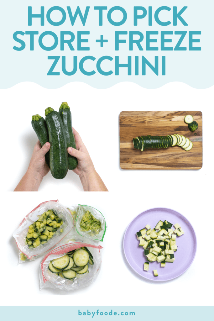 How to Select, Store & Freeze Zucchini guide) Baby Foode