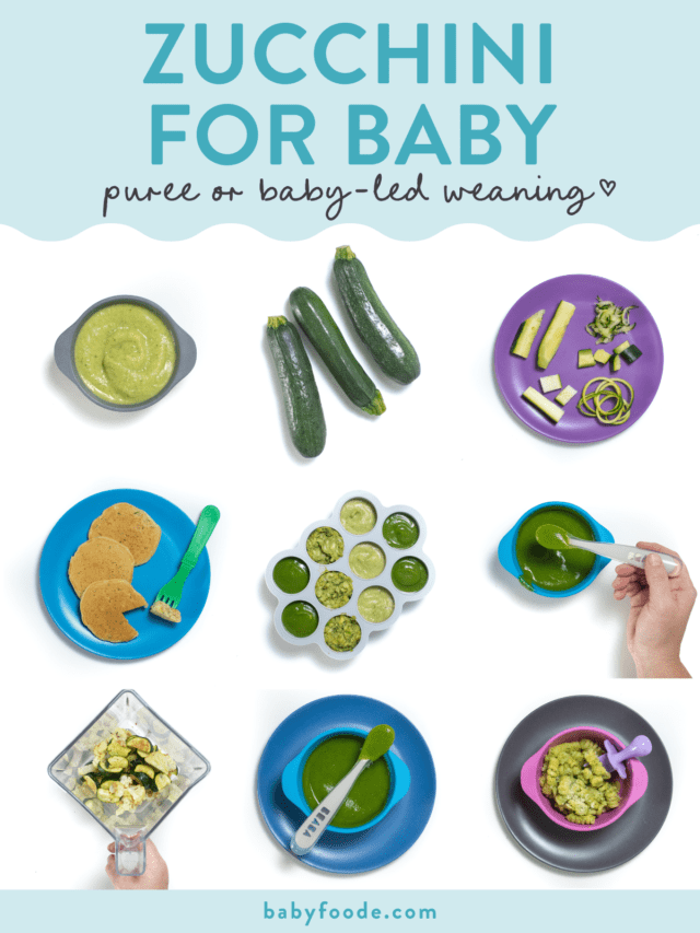 Zucchini Baby Food (puree & babyled weaning) Baby Foode