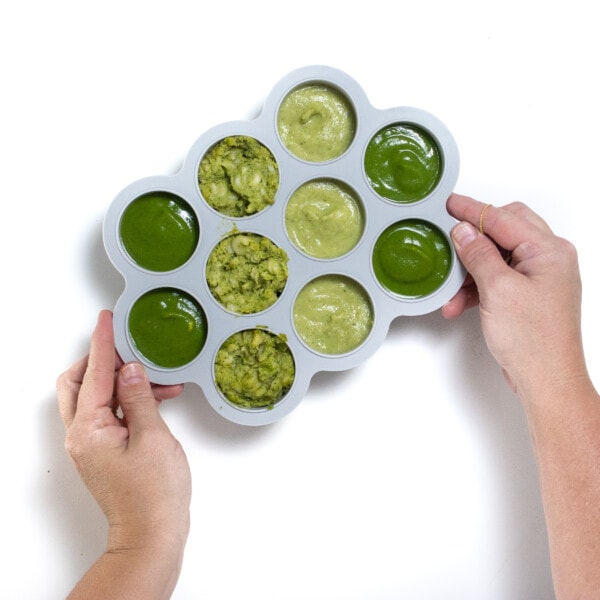 Zucchini Baby Food (puree & babyled weaning) Baby Foode
