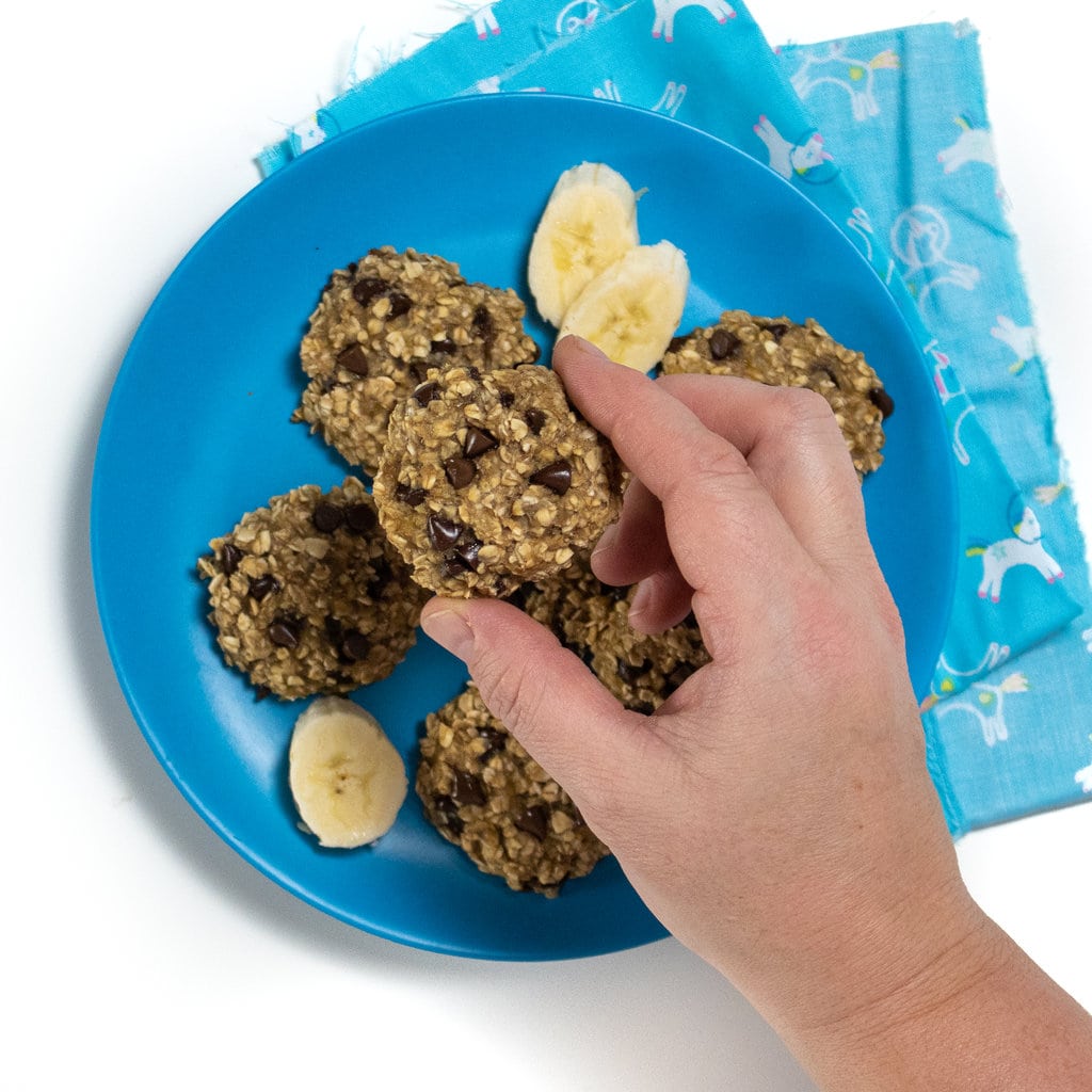 Hand holding a banana oatmeal chocolate chip cookie above a plate of cookies against a white background with the blue tablecloth.