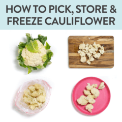 graphic for post - how to pick, store and freeze cauliflower. Images are in a grid showing a cauliflower, a cutting board with cut cauliflower, frozen cauliflower and a pink plate with cut florets.