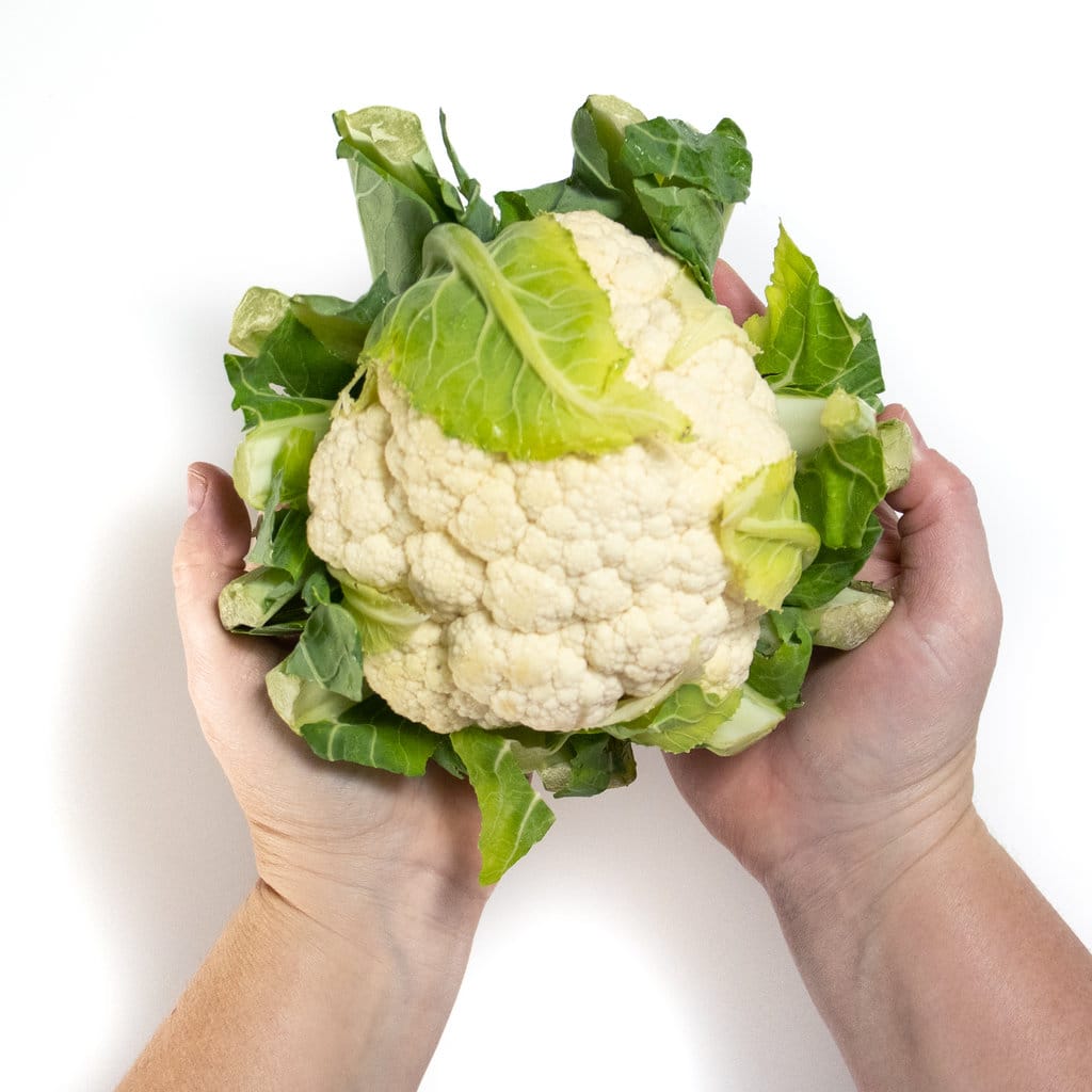 Two hands holding ahead of cauliflower against way back drop.