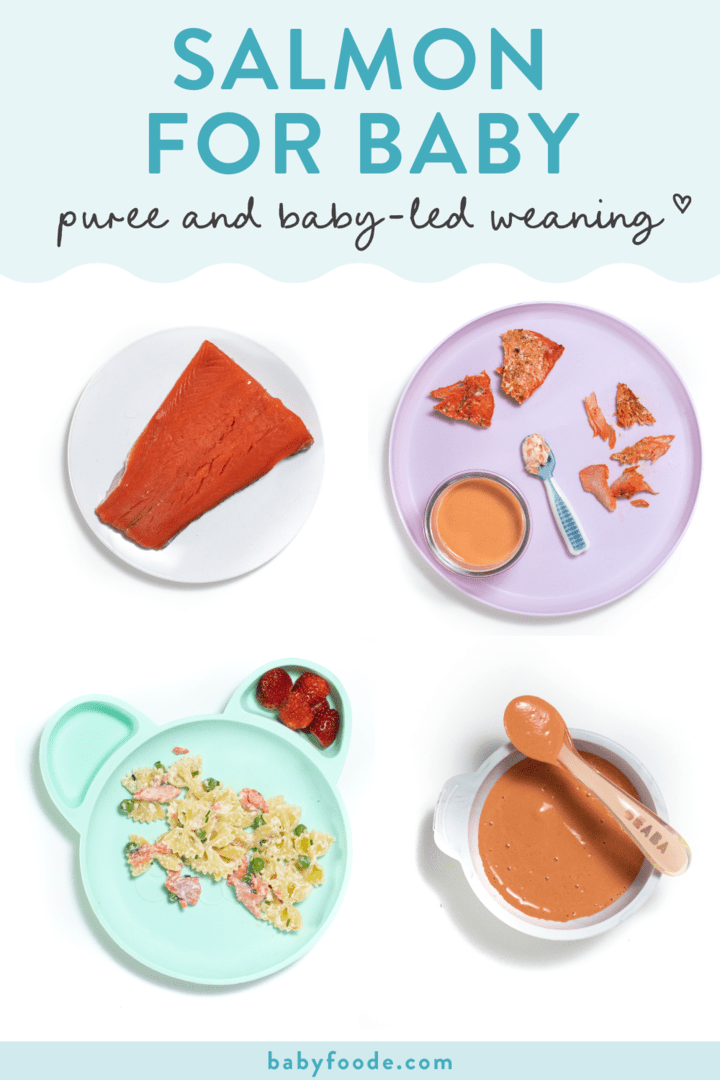graphic for post - Salmon for baby - puree and baby-led weaning. Images are in a grid showing how to serve salmon to baby.