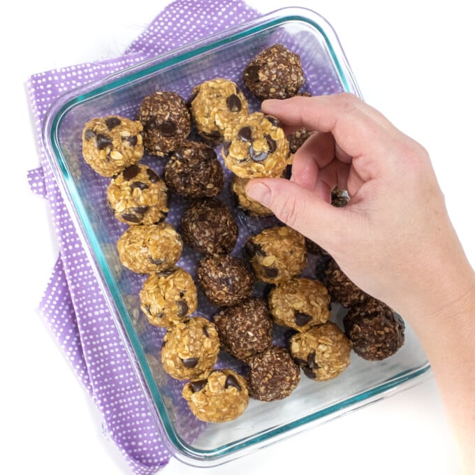 The Best Lactation Energy Bites Baby Foode