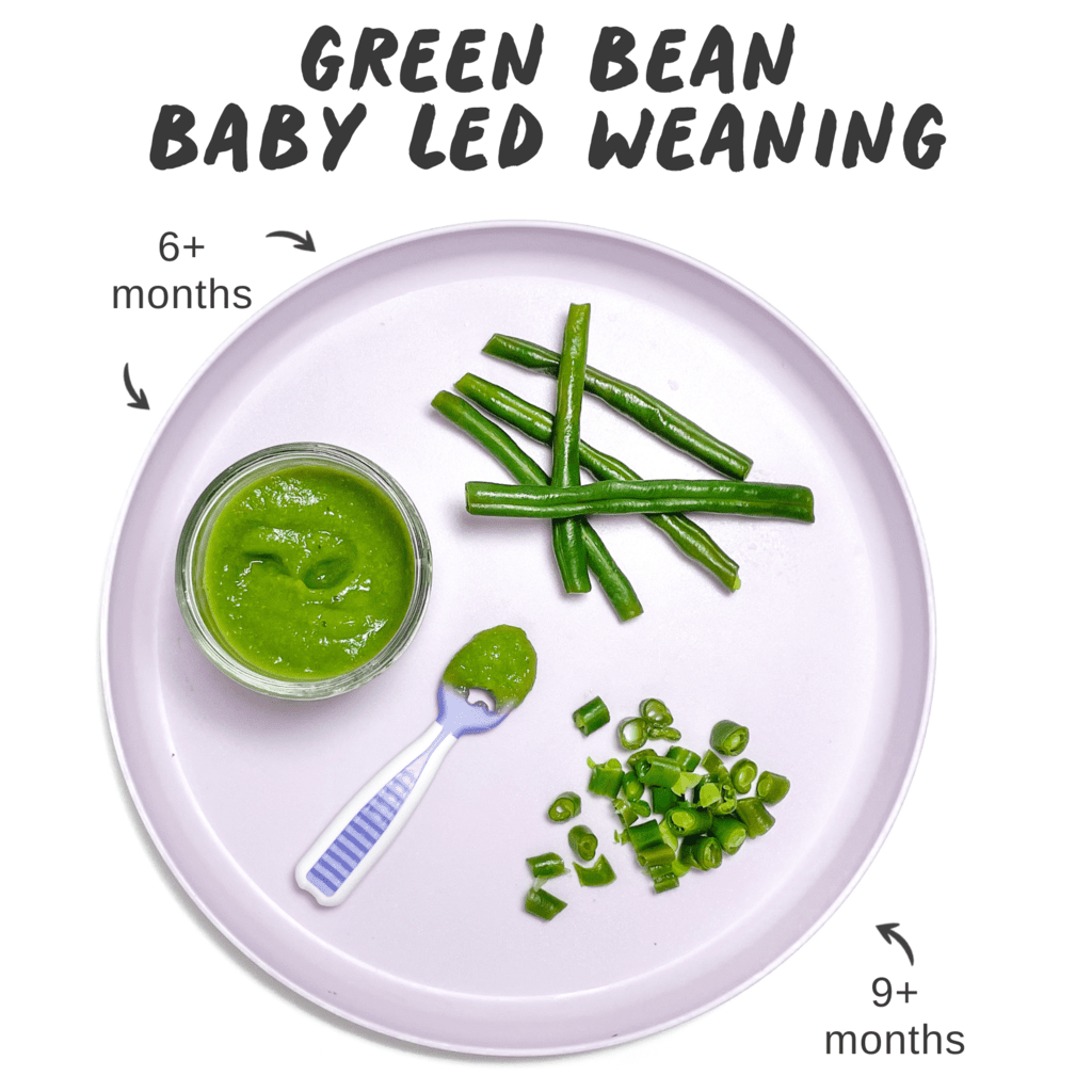 Graphic showing a purple baby plate with 3 different ways to serve green beans for baby-led weaning against a white backdrop. 