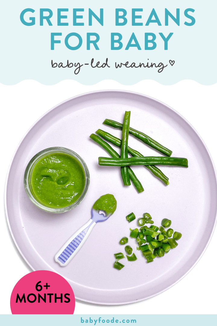 Graphic four post – green beans for baby led weaning great for babies 6+ months. Images of a purple plate with green beans in sticks chopped and as a purée.
