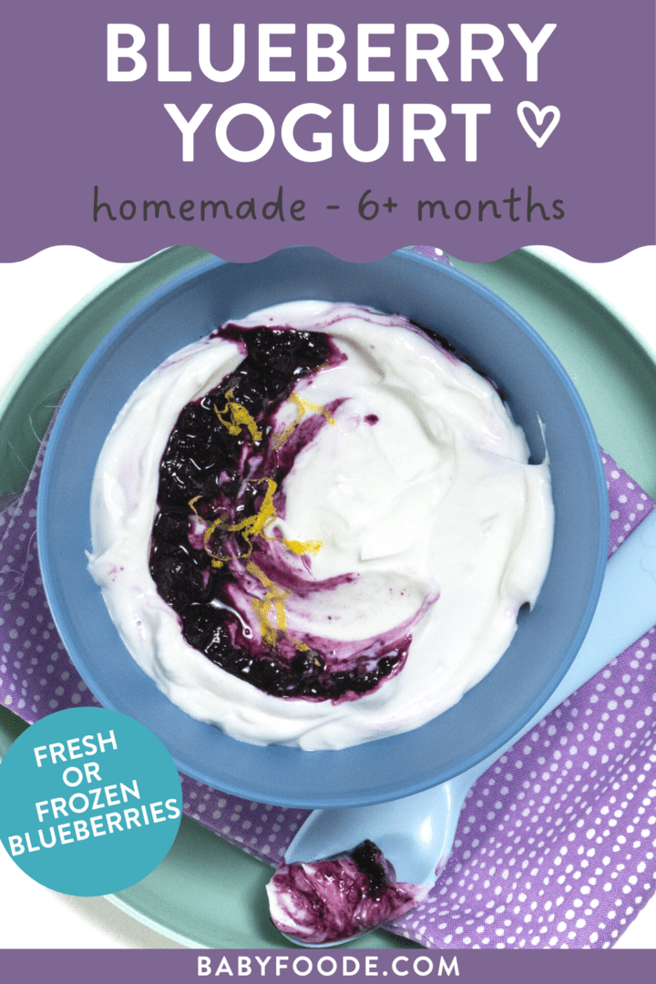 Graphic for post – blueberry yogurt, homemade, 6+ months. Images of a kids blue bowl on top of the kids teal plate full of a blueberry yogurt with lemon zest with a blue spoon  resting next to it.