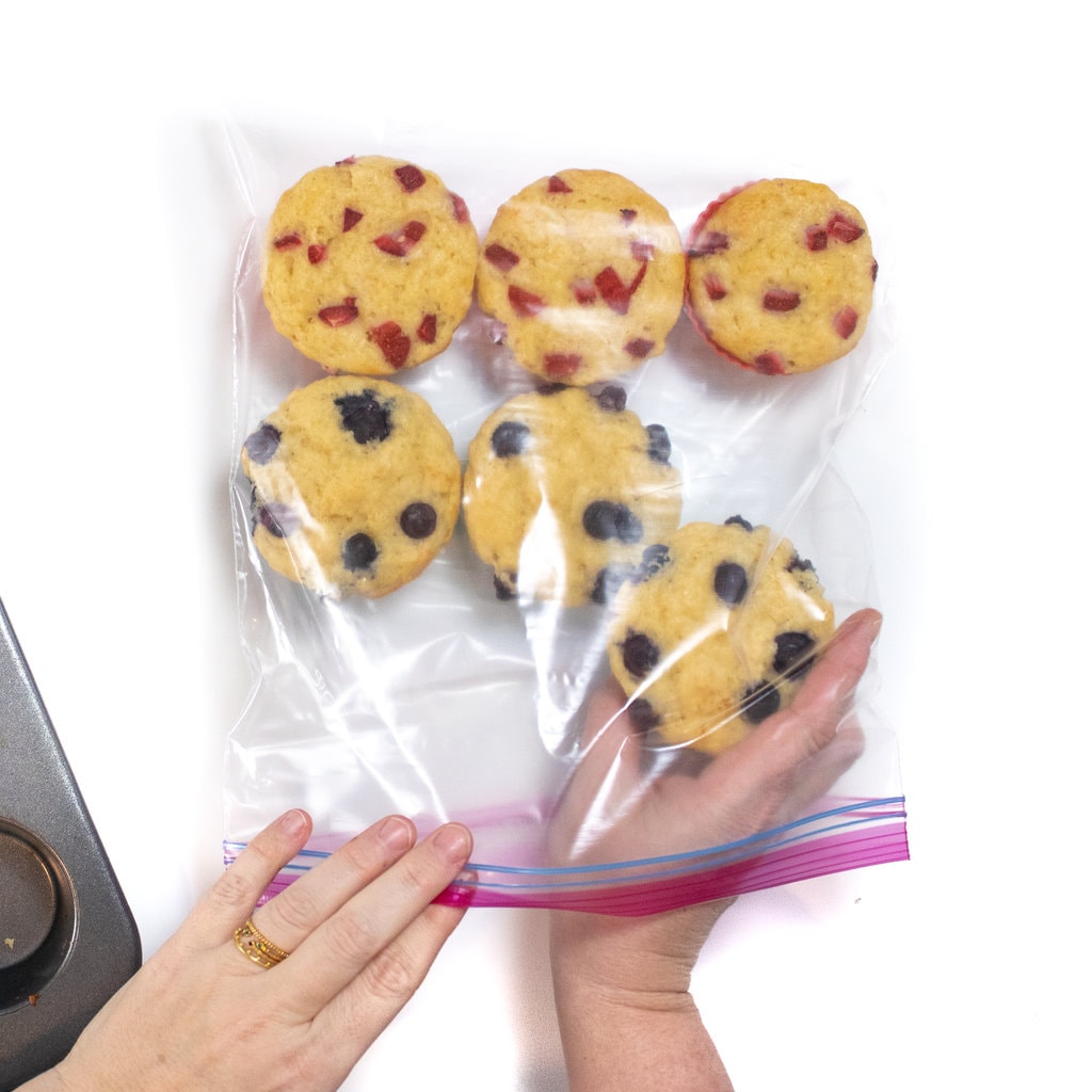Two hands putting muffins into a Ziploc bag it's a white background with a muffin tray off to the side.