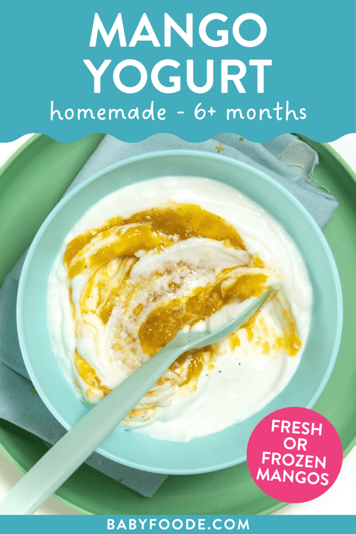 Graphic for post – mango yogurt, homemade, 6+ months, fresh or frozen mango. Image is of a blue bowl full of a swirled in a mango yogurt with a blue spoon inside.