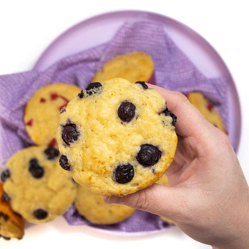 A hand holding a yogurt muffin with blueberries.