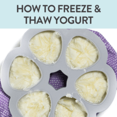 Graphic for post - how to freeze and thaw yogurt, image is of a gray freezer tray full of frozen yogurt.