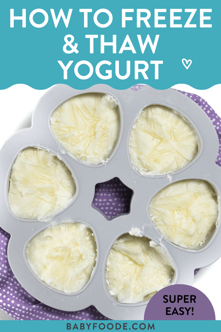 Graphic post – how to freeze and thaw yogurt, super easy. Image is of a gray ice cube tray with frozen yogurt and a purple napkin against a white background.