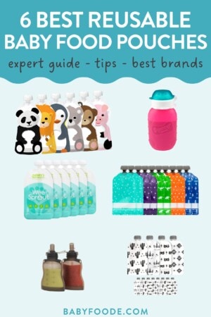 6 Best Reusable Baby Food Pouches 2024 | Baby Foode