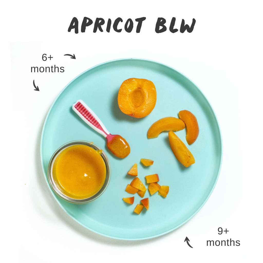 Oh graphic for post – apricot baby led weaning, images of a teal kids plate full of different ways to serve apricots to Baby as a purée or as a finger food.