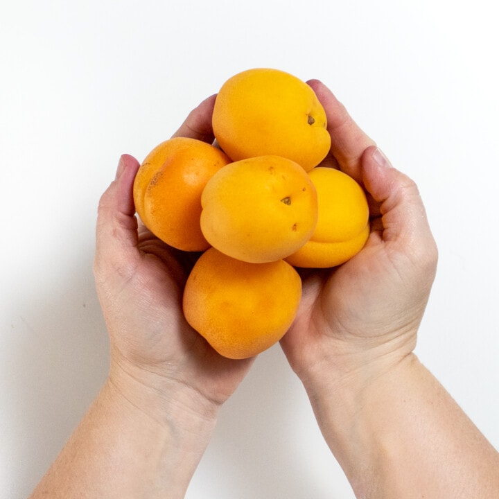 How to Serve Apricots to Baby (purees & blw) Baby Foode