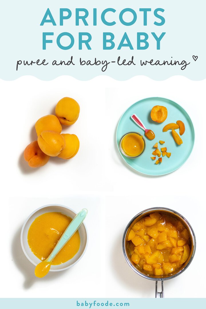 Graphic for post – uppercuts for Baby,. And Baby lead weaning. Images of our in a grid showing how to serve Baby a purée as well as finger foods for baby led weaning. 