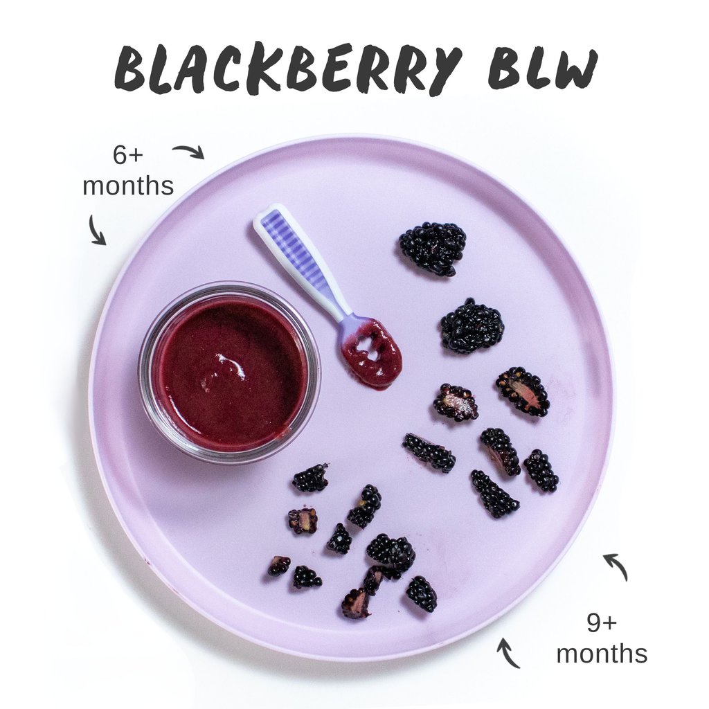 Graphic for post – blackberry for baby led weaning, six months, 9+ months with a purple baby plate full of different ways to cut and serve blackberries for Baby.