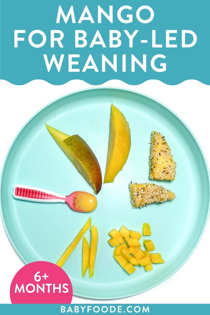 Graphic for post - mangos for baby-led weaning, 6+ months. Image is of a blue kids plate with mango cut in several different sizes and a puree to show all the options on how to serve it to baby. 
